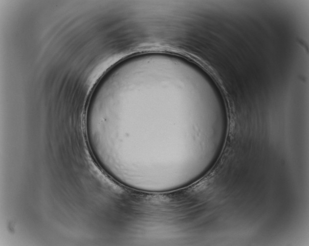 X0000103401239200809261612