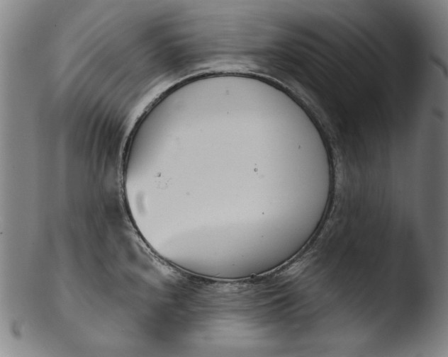 X0000103401240200809261612