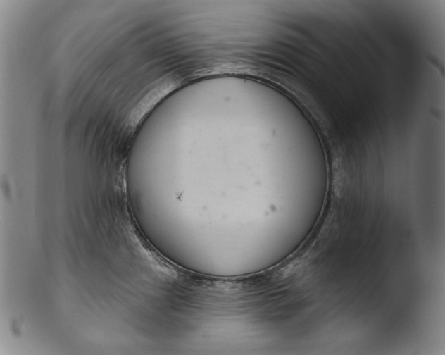 X0000103401241200809261612