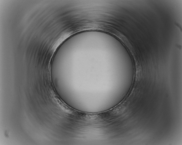 X0000103401242200809261612