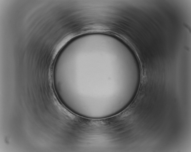 X0000103401243200809261612