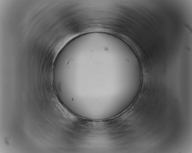 X0000103401244200809261612