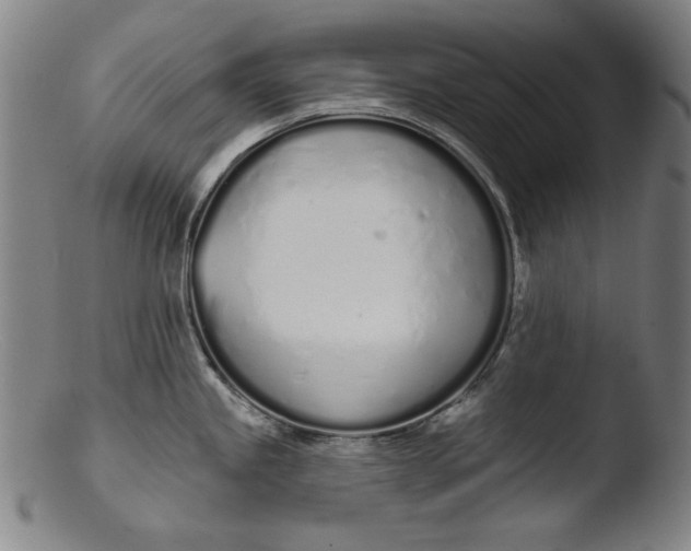 X0000103401245200809261612