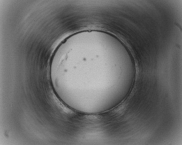 X0000103401246200809261612