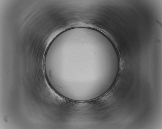 X0000103401247200809261612