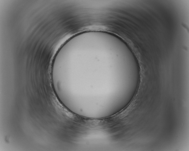 X0000103401248200809261612