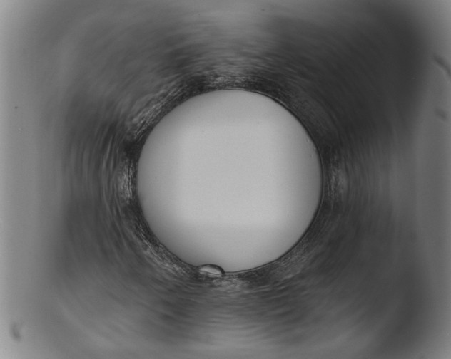 X0000103401250200809261611