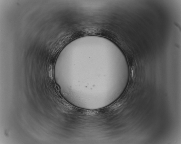 X0000103401251200809261611