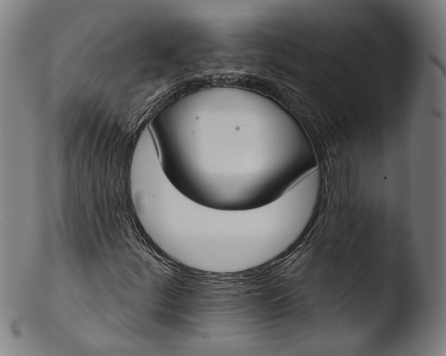 X0000103401252200809261611