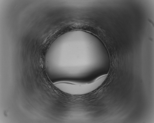 X0000103401253200809261611