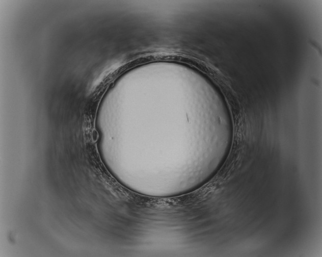 X0000103401255200809261611