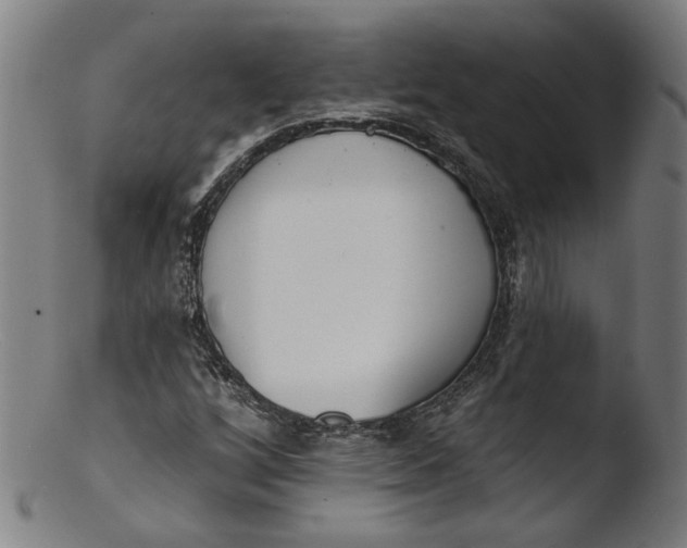 X0000103401256200809261611