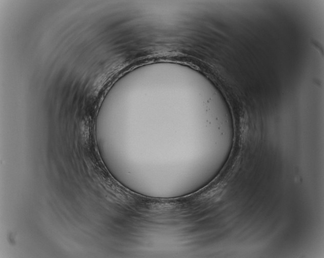 X0000103401257200809261611