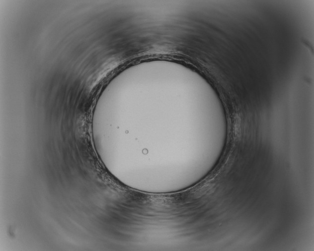 X0000103401258200809261611