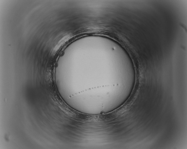 X0000103401259200809261611