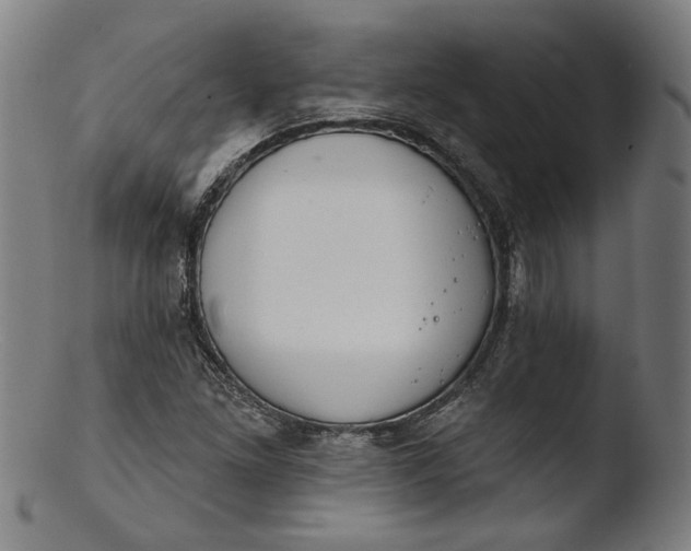 X0000103401261200809261611