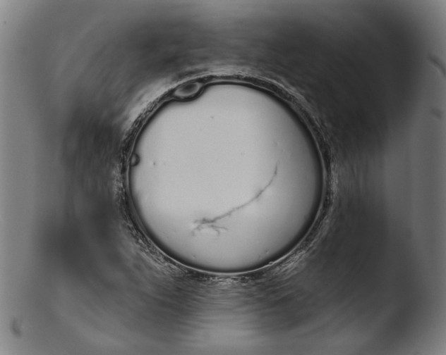 X0000103401263200809261611