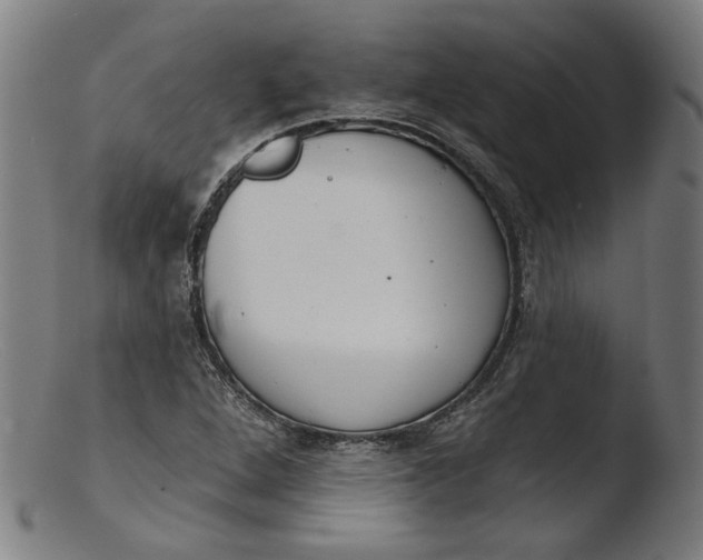 X0000103401264200809261611