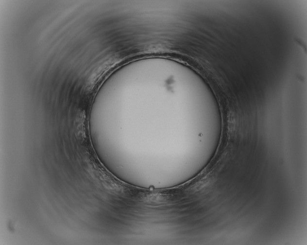 X0000103401265200809261611