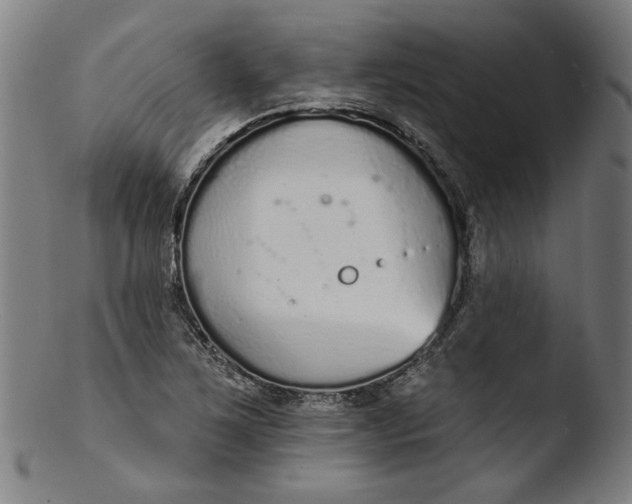 X0000103401267200809261611