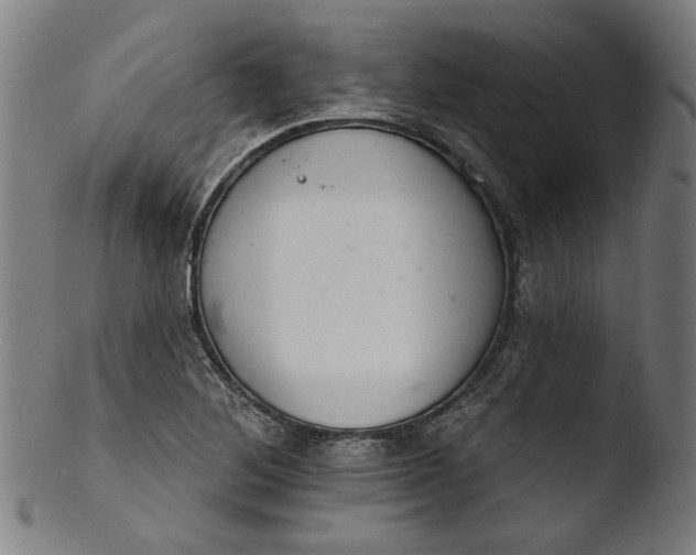 X0000103401268200809261611