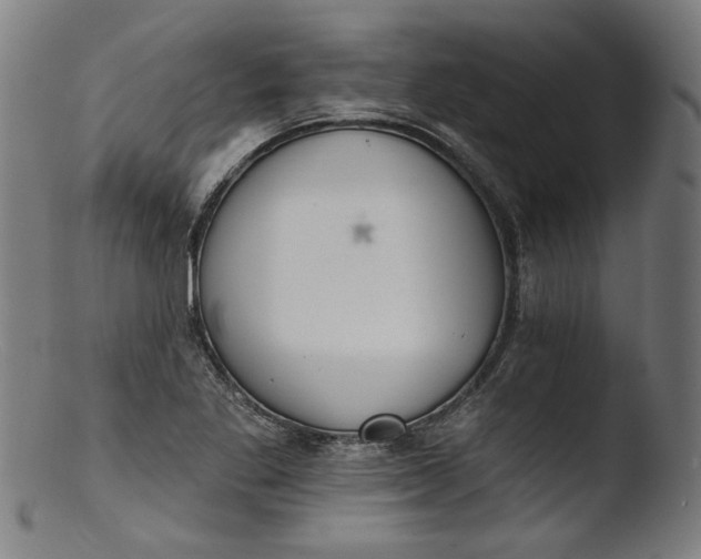 X0000103401269200809261611