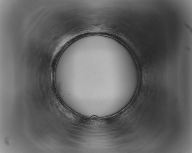 X0000103401270200809261611