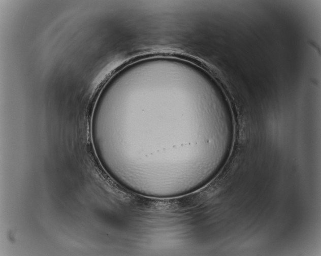 X0000103401271200809261611