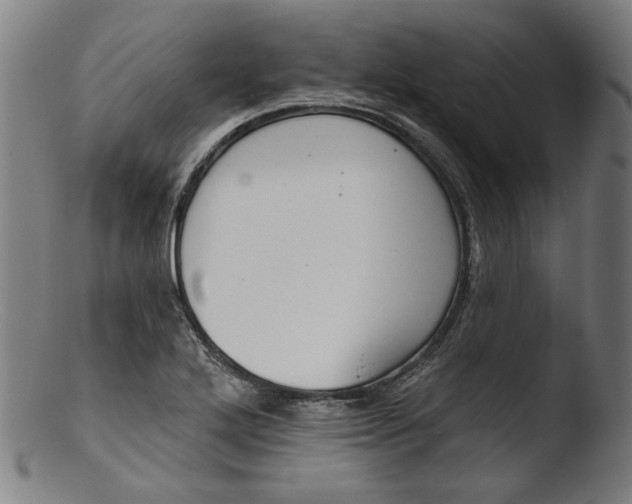 X0000103401272200809261611