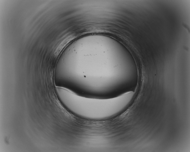 X0000103401273200809261611