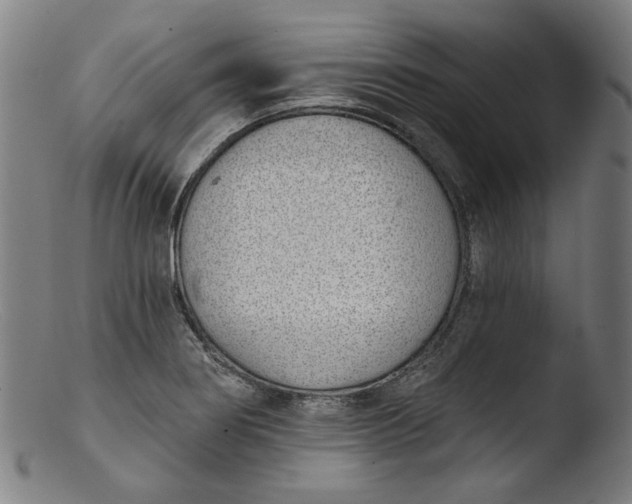 X0000103401274200809261611