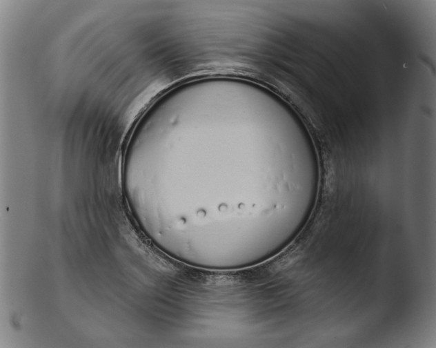 X0000103401275200809261611