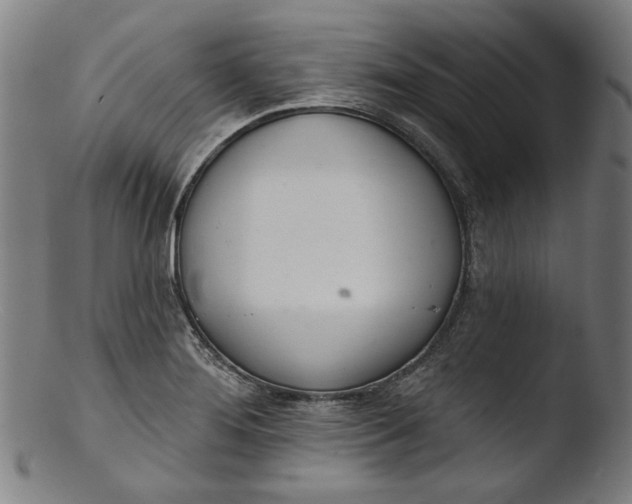 X0000103401276200809261611