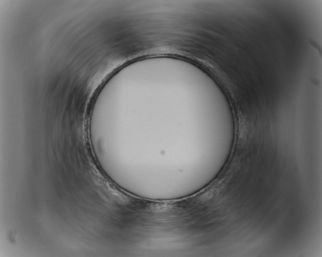 X0000103401278200809261611