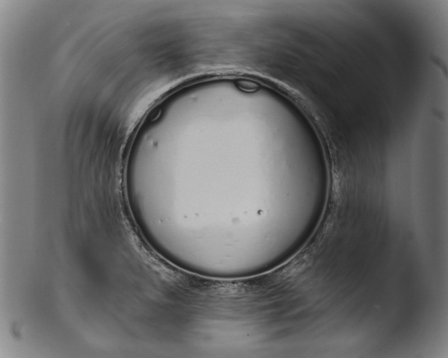 X0000103401279200809261611