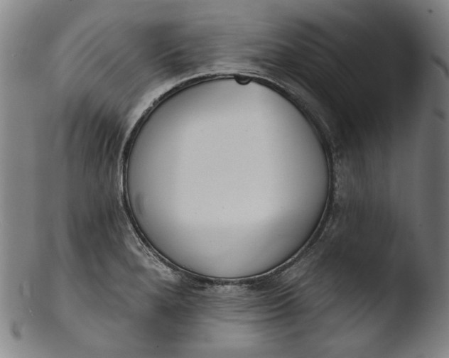 X0000103401280200809261611