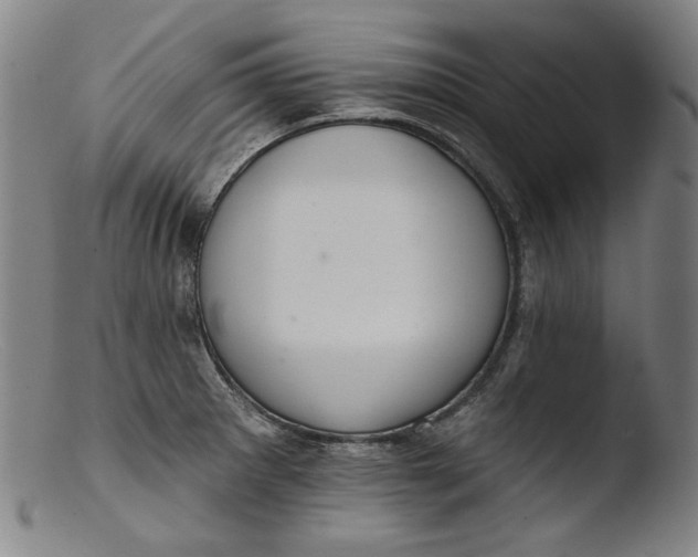 X0000103401281200809261611