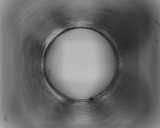 X0000103401285200809261611