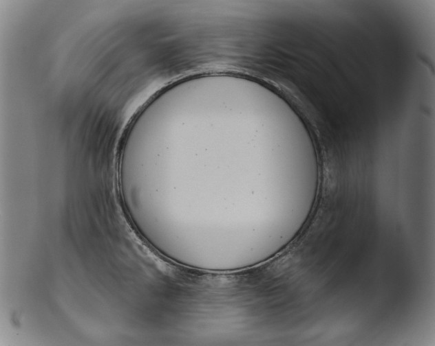 X0000103401286200809261611