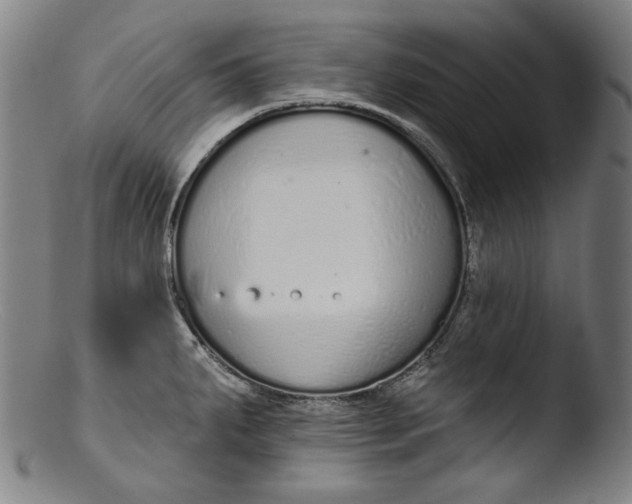 X0000103401287200809261611