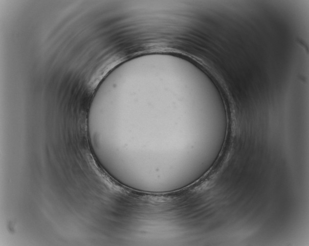 X0000103401289200809261611