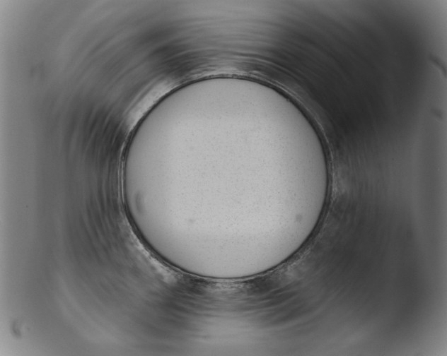 X0000103401290200809261611