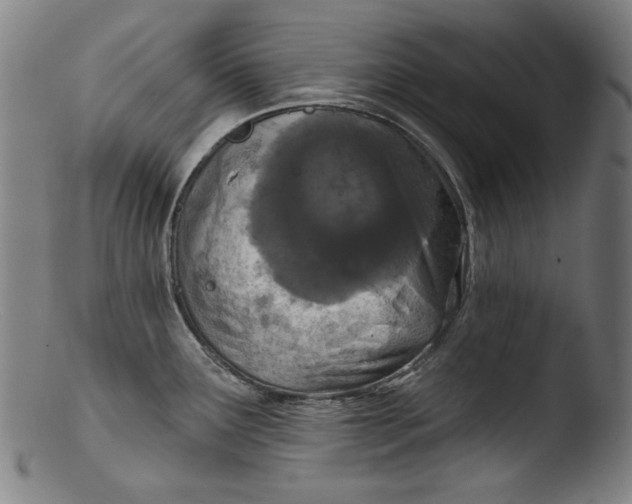 X0000103401291200809261611