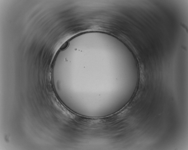 X0000103401292200809261611