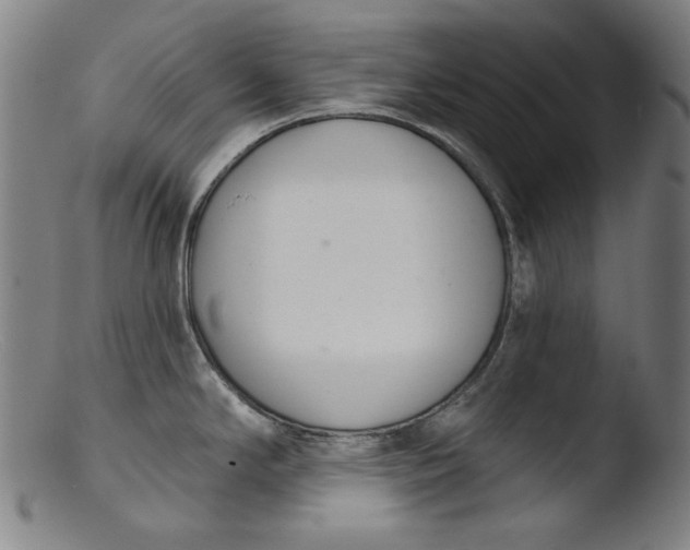 X0000103401294200809261611