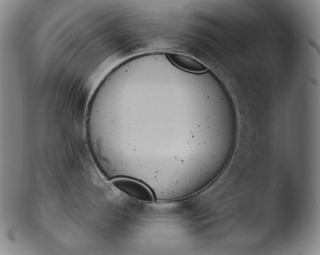 X0000103401296200809261611