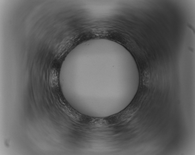 X0000103401298200809261610