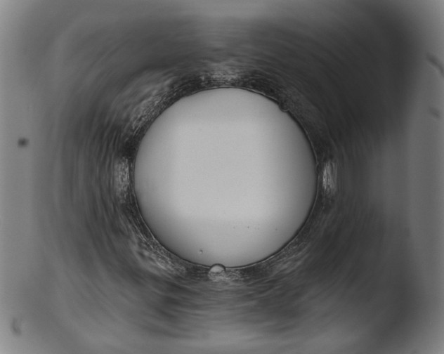 X0000103401299200809261610