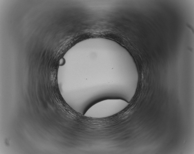 X0000103401300200809261610