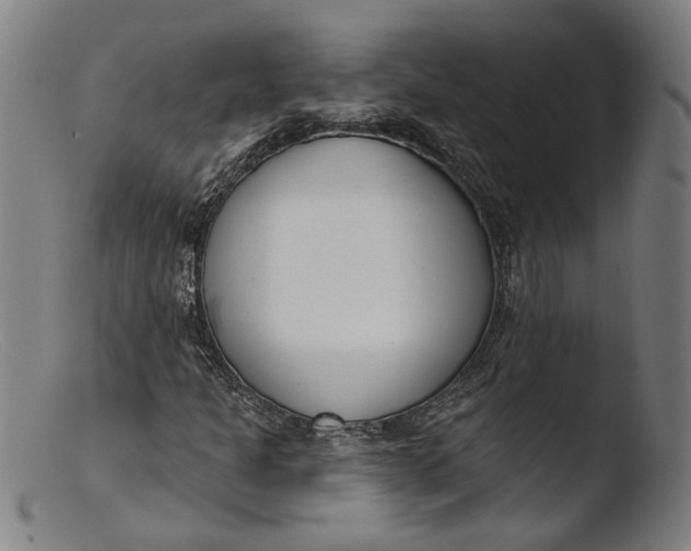 X0000103401301200809261610